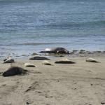 cambria_309 (November 03, 2018)